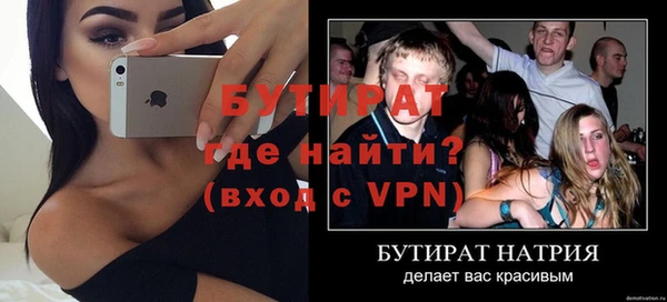 хмурый Аркадак