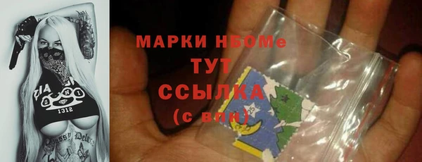 хмурый Аркадак