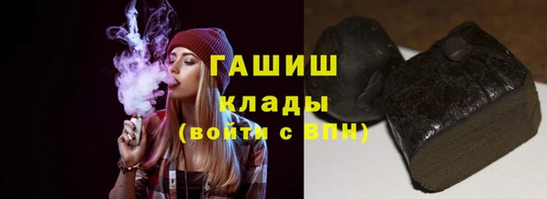 хмурый Аркадак