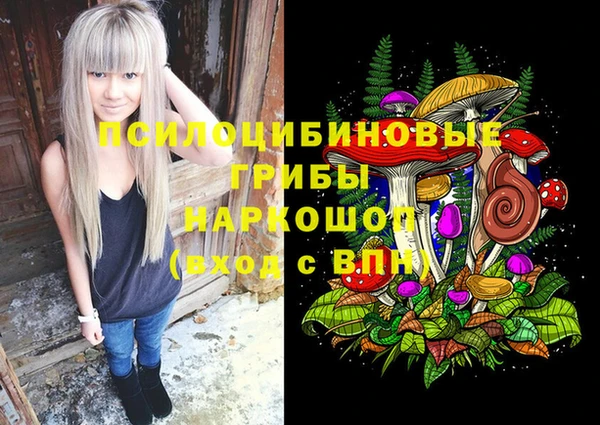 ГАЛЛЮЦИНОГЕННЫЕ ГРИБЫ Армянск