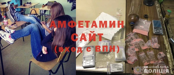 хмурый Аркадак