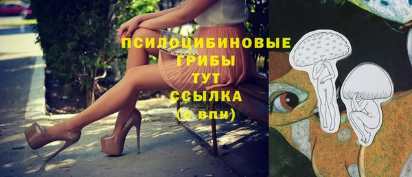 прущая мука Арсеньев