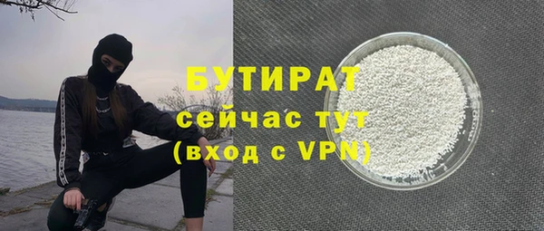 хмурый Аркадак