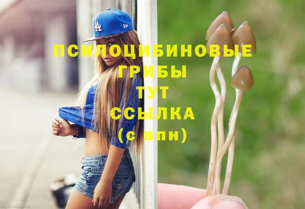 хмурый Аркадак