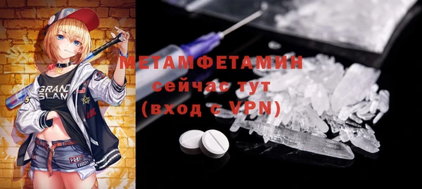 хмурый Аркадак